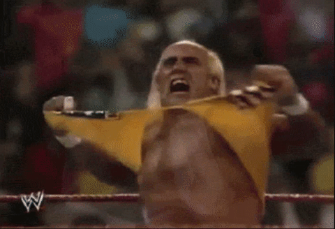 hulk-hogan