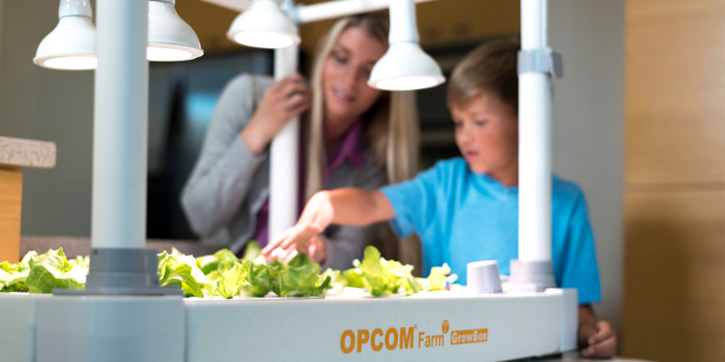 Opcom proves you can grow more than weed with at-home hydroponics